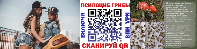 Псилоцибиновые грибы ЛСД  Райчихинск 