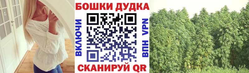 МЕГА вход  Райчихинск  Конопля план 